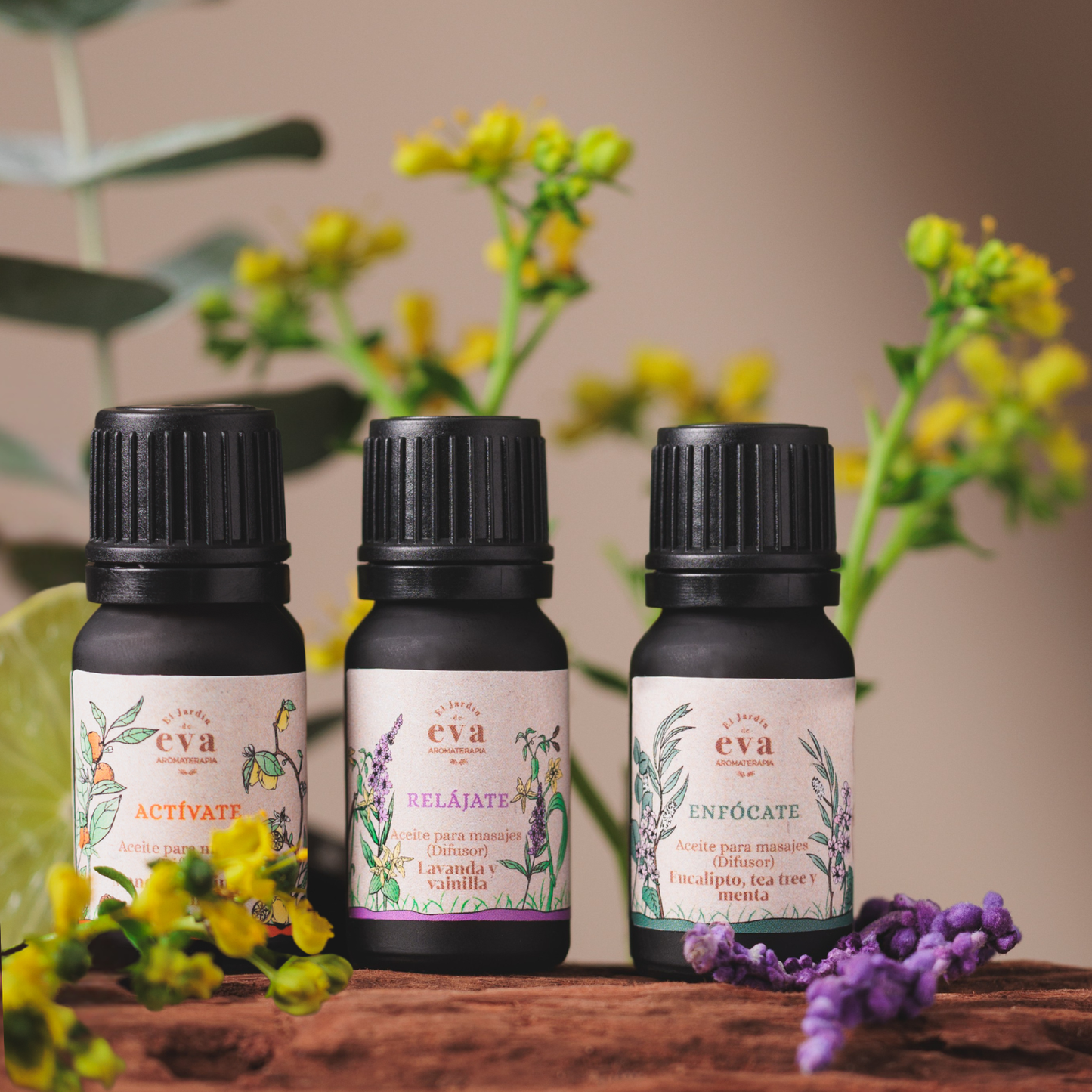 Kit de 3 Aceites Esenciales para Difusor + GRATIS pebetero