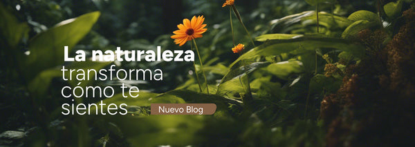 Cómo la naturaleza influye en nuestro estado de ánimo