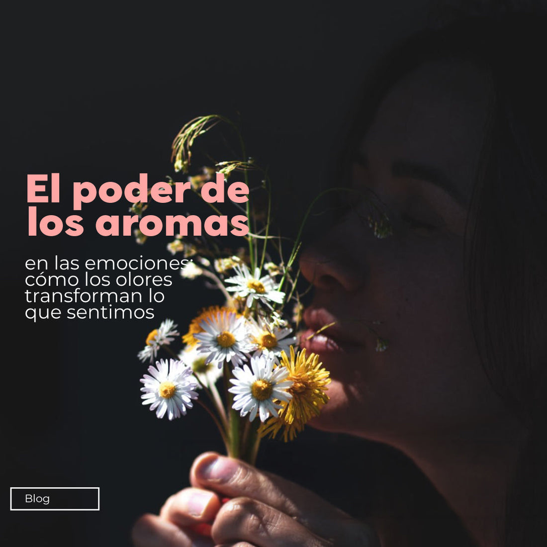 El poder de los aromas en las emociones: cómo los olores transforman lo que sentimos