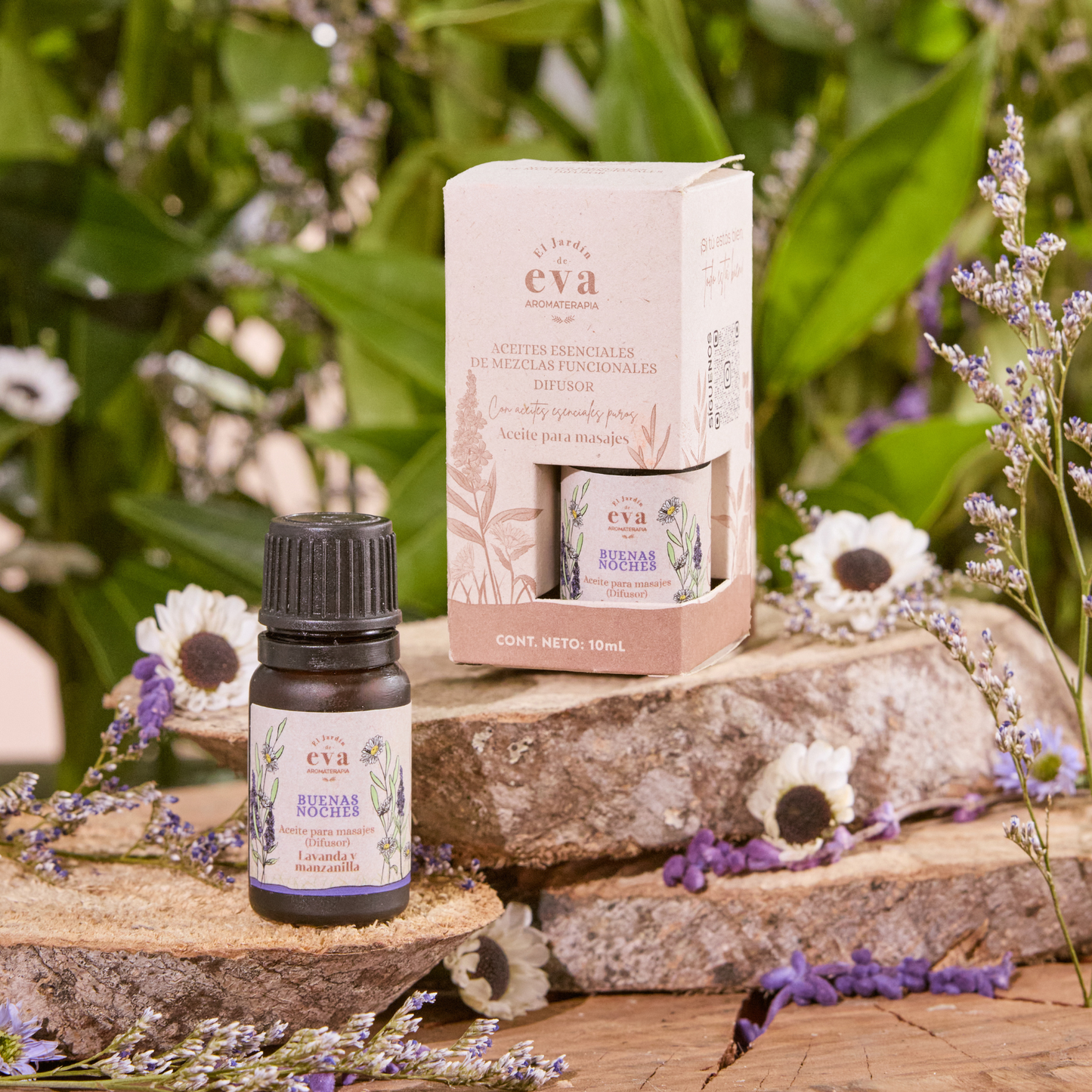 Kit Buenos días - Buenas noches