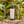 Kit Supervivencia Tropical