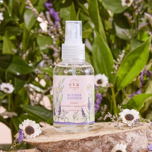 Splash Buenas Noches